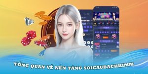 Tổng quan nền tảng Soi cầu bạch kim